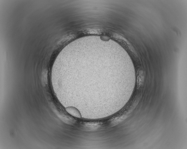 X0000110720213200907241213