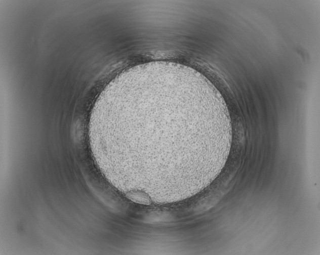 X0000110720214200907241213