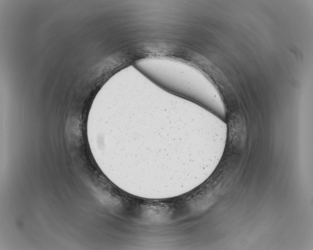 X0000110720215200907241213