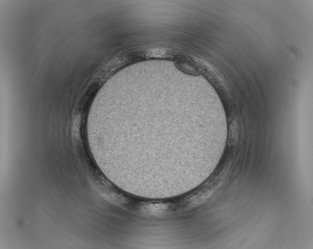 X0000110720217200907241213