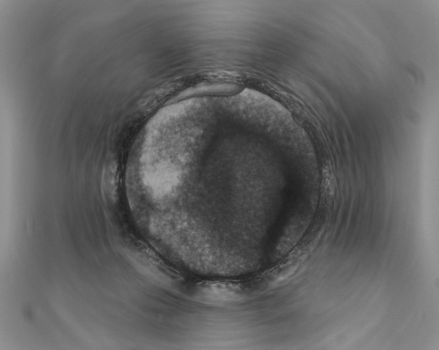 X0000110720223200907241213