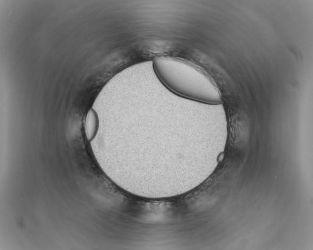 X0000110720225200907241213