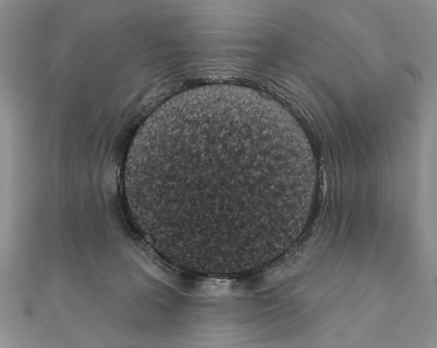 X0000110720227200907241213