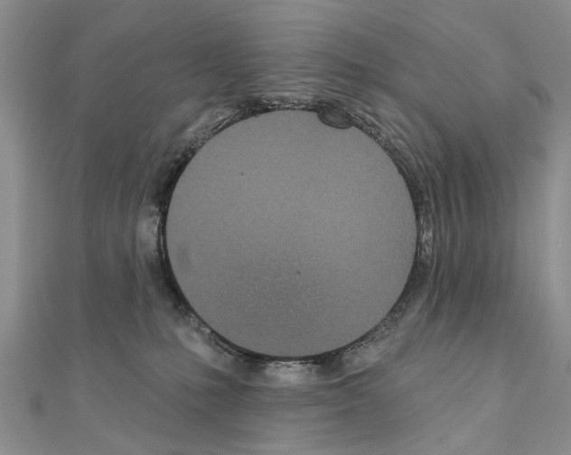 X0000110720231200907241213