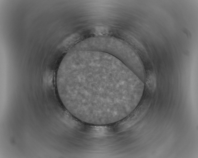 X0000110720233200907241213