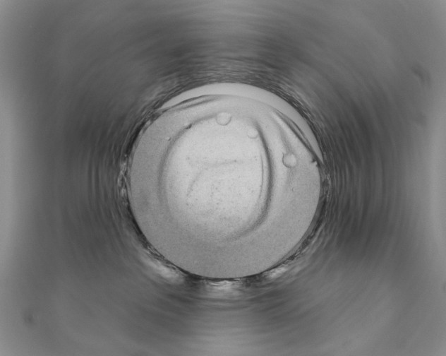 X0000110720237200907241213