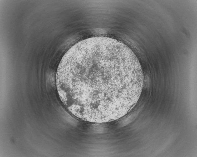 X0000110720238200907241213