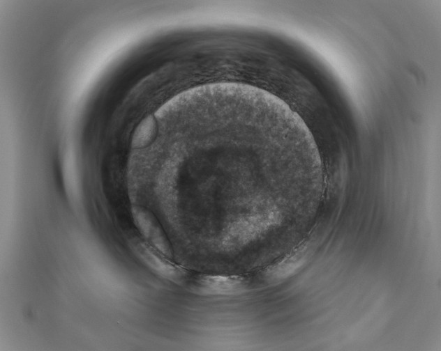 X0000110720239200907241213