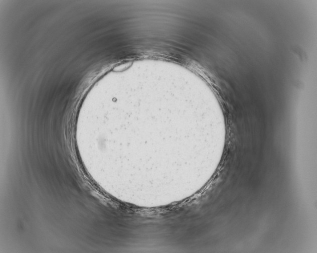 X0000110720241200907241212