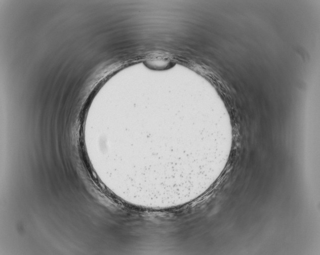 X0000110720242200907241212