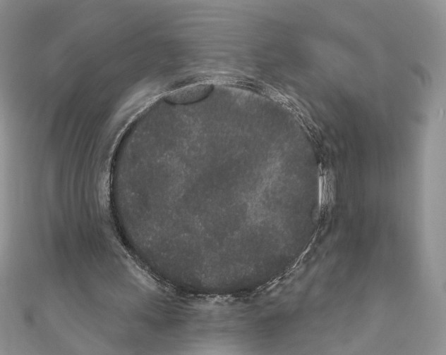 X0000110720243200907241212