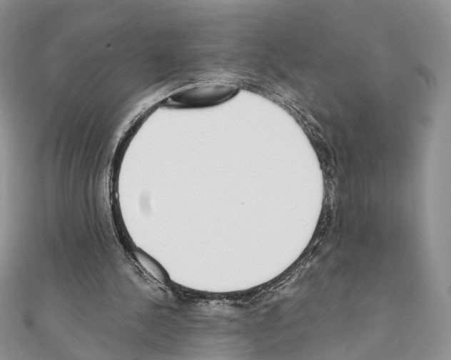 X0000110720244200907241212