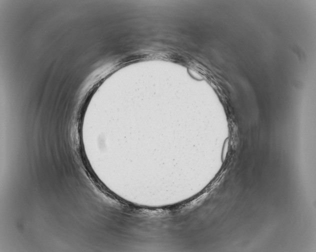 X0000110720245200907241212