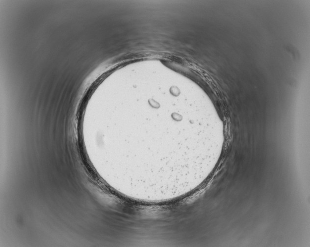 X0000110720246200907241212