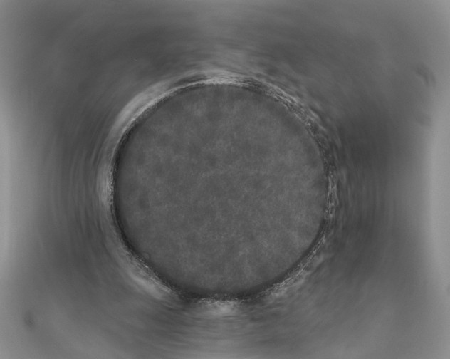 X0000110720247200907241212