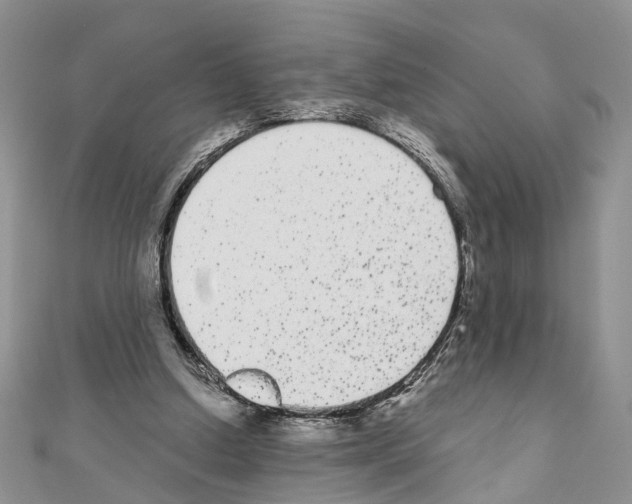 X0000110720250200907241212