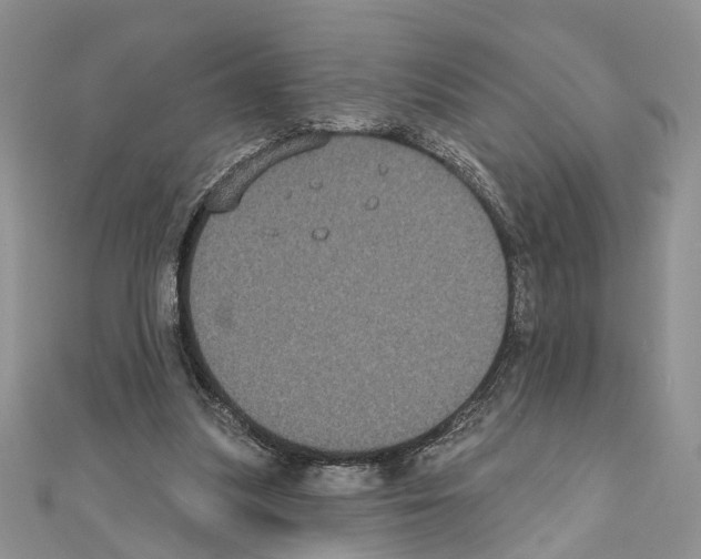 X0000110720251200907241212