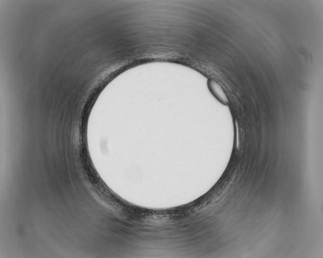 X0000110720252200907241212