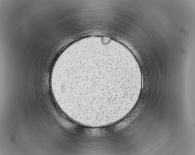 X0000110720253200907241212