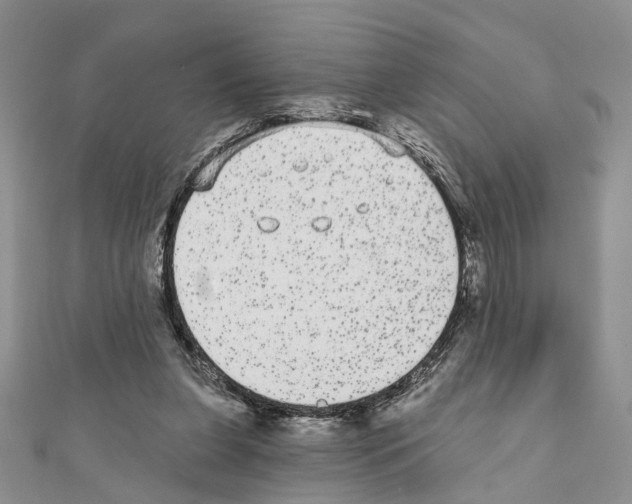 X0000110720255200907241212