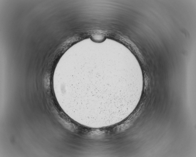 X0000110720257200907241213