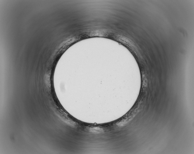 X0000110720258200907241213