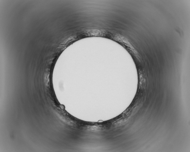 X0000110720259200907241213