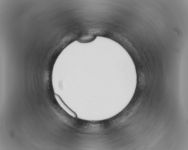 X0000110720260200907241213