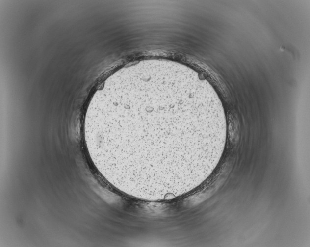 X0000110720261200907241213