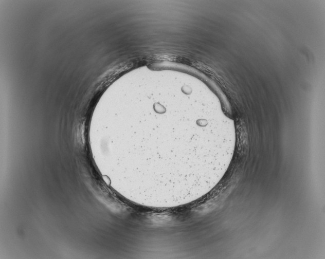 X0000110720262200907241213