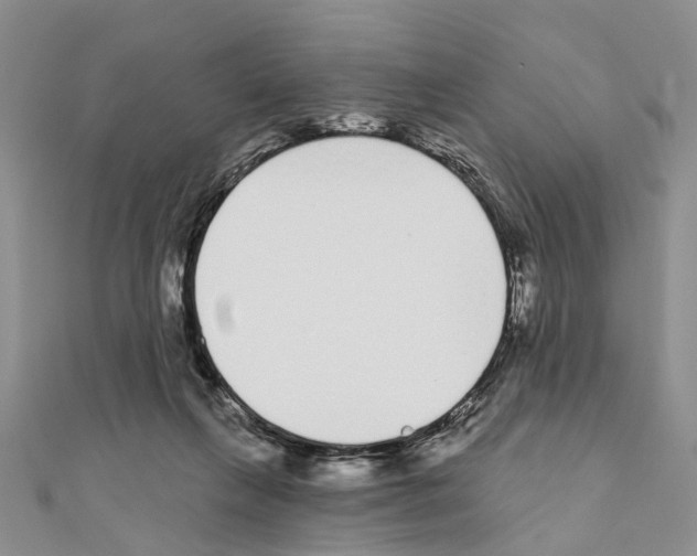 X0000110720263200907241213