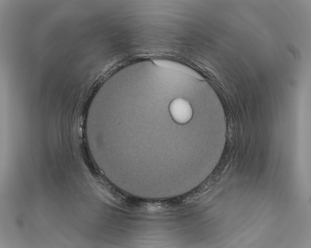 X0000110720264200907241213