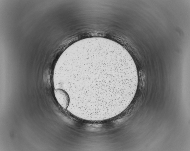 X0000110720266200907241213