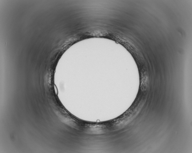 X0000110720268200907241213