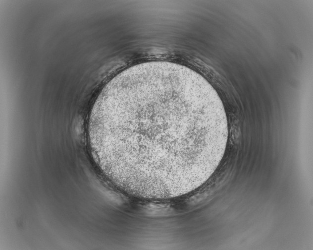 X0000110720270200907241213