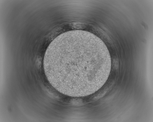 X0000110720271200907241213