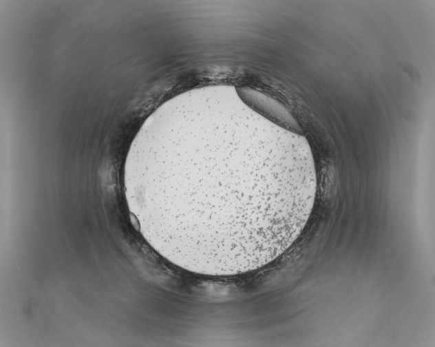 X0000110720272200907241213