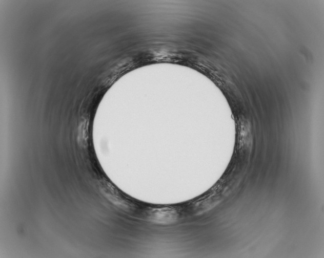 X0000110720275200907241213