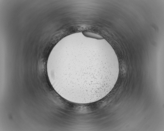 X0000110720276200907241213