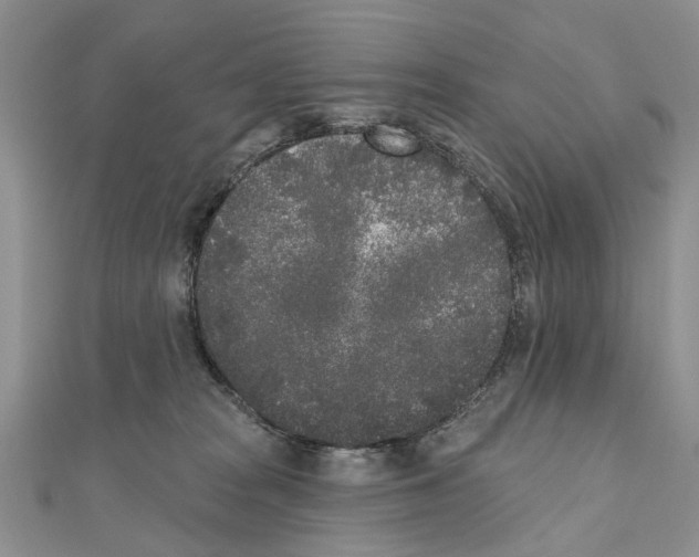 X0000110720277200907241213