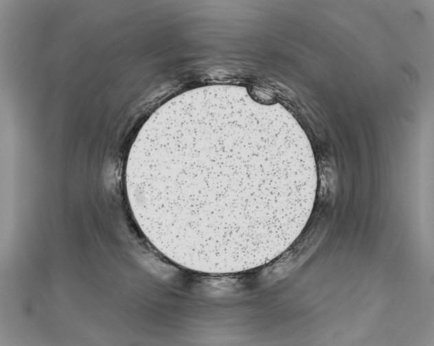 X0000110720278200907241213