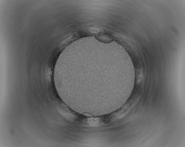 X0000110720279200907241213