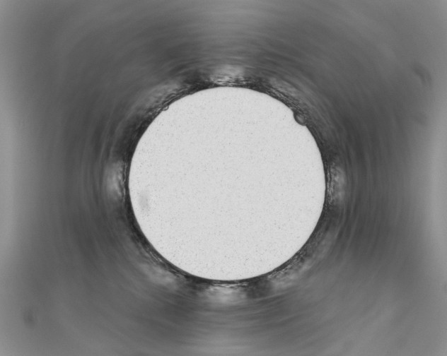 X0000110720280200907241213