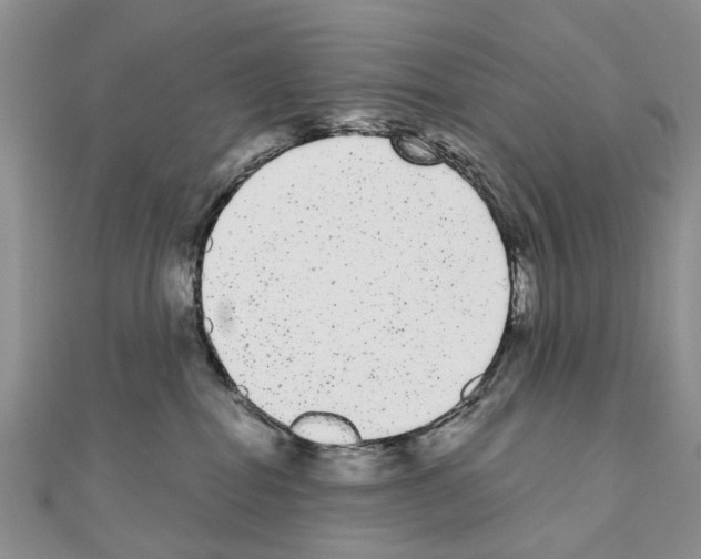 X0000110720282200907241213