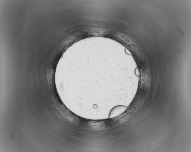 X0000110720283200907241213