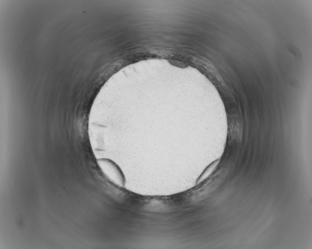 X0000110720285200907241213