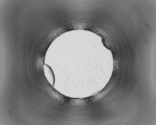 X0000110720286200907241213