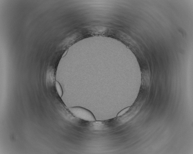 X0000110720287200907241213