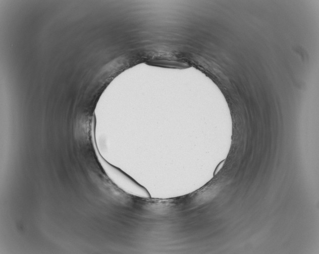 X0000110720288200907241213