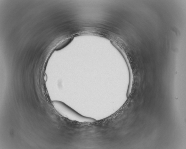 X0000110720289200907241212